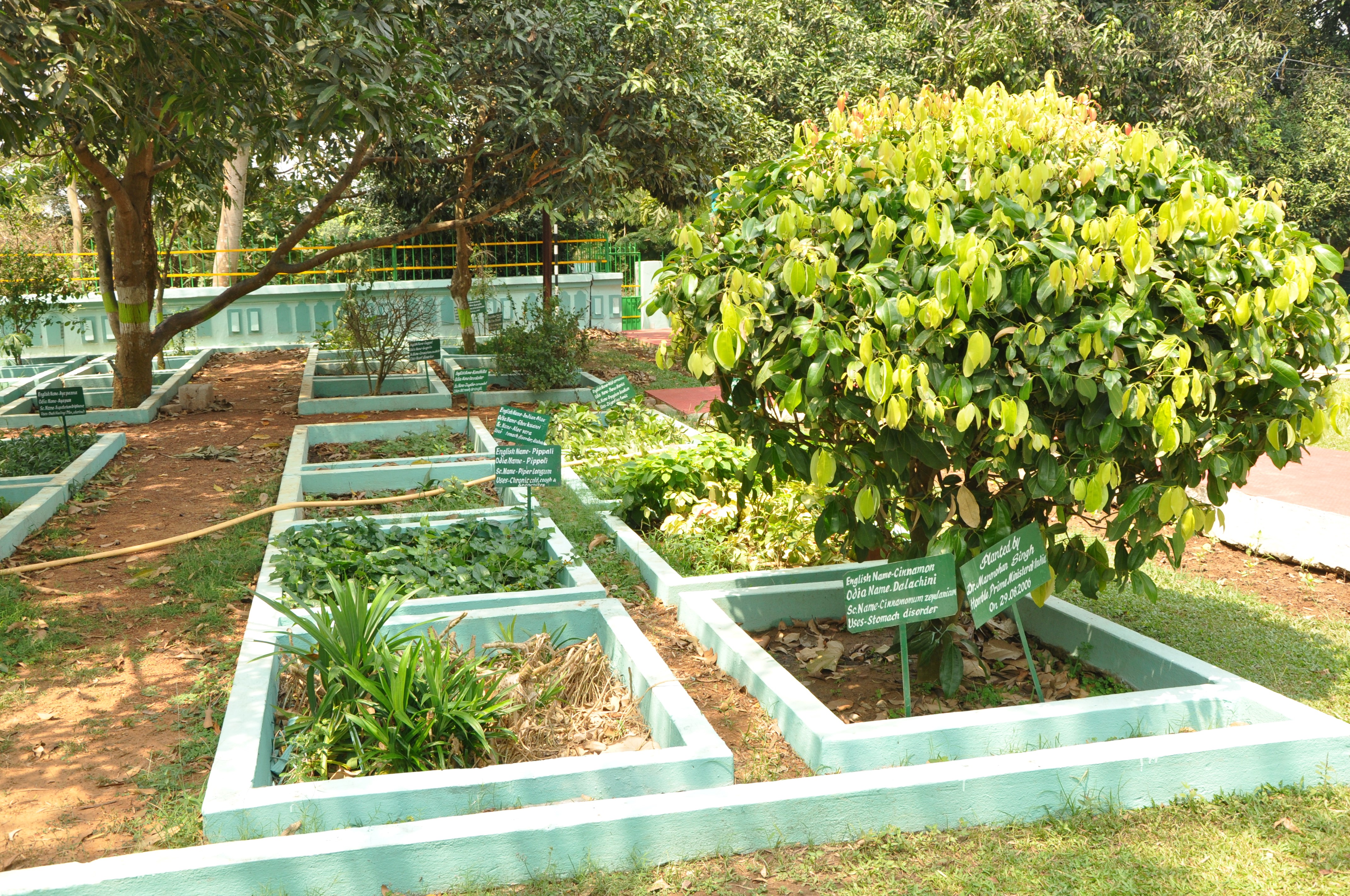 Medicinal Gardens