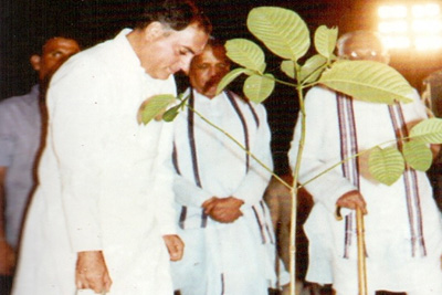 Prime Minister Shri Rajiv Gandhi at a  plantation programme